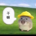 大地追风者