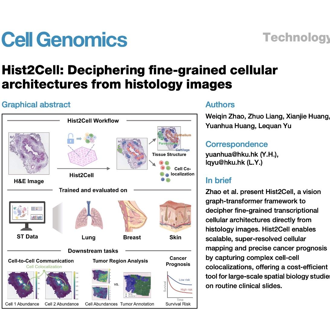 1082-Hist2Cell: Cellular Architectures from Histology Images episode artwork