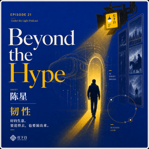 21. 陈星：经历过VR泡沫后，我在AI短剧里找到了“进得去也出得来”的生意