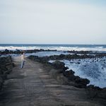 whymarch
