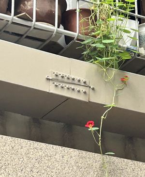 教你如何玩得开心！下班之后才是真正的上“班”，成年人有哪些低成本丰容兴趣班？｜EP5