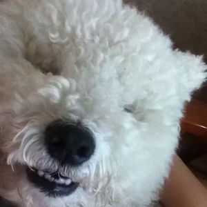 podcaster-avatar