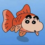 wu蒸鱼