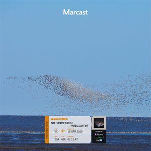 Vol.151 再会！谢谢所有的鸟！| 鸭绿江口的飞行