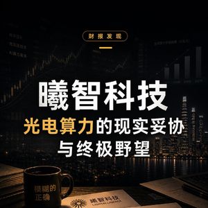 曦智科技:光电算力的现实妥协与终极野王