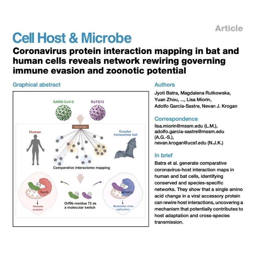 1105-Coronavirus Interactome Mapping in Bat and Human Cells episode artwork