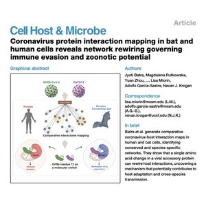 1105-Coronavirus Interactome Mapping in Bat and Human Cells