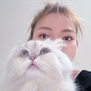 灵魂一米二本魂