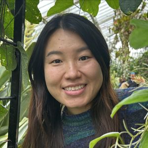 W小姐的32岁退休日记