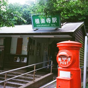 Vol. 22 | 初夏的Laufey演唱会，镰仓和最近听的歌