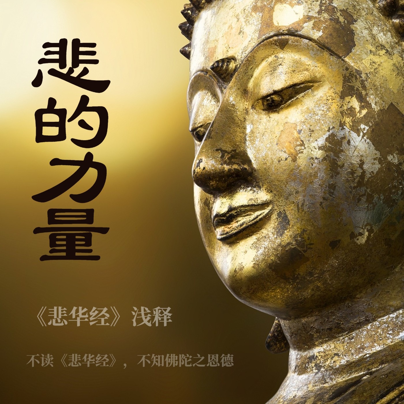 悲的力量:《悲华经》浅释第一讲 - 悲的力量:《悲华经》浅释 | 小宇宙 - 听播客,上小宇宙