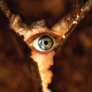 重返寂静岭，平等创飞影迷与玩家