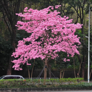 No.011-每天有八百件事，忙到脾气暴躁怎么破？！