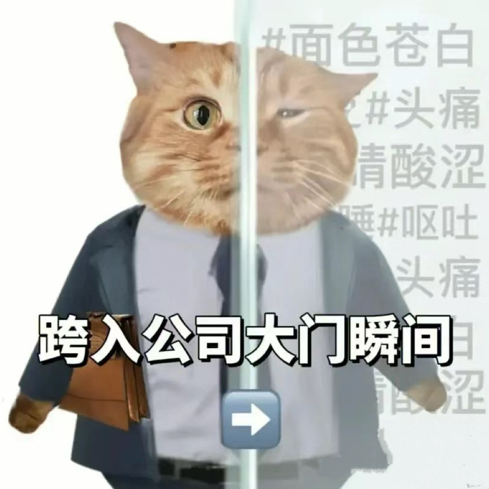 05 《年会不能停》大厂血泪：我们需要标准的社畜生存指南！ episode artwork