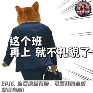 EP16 连豆腐都有脑，可是我的老板却没有脑