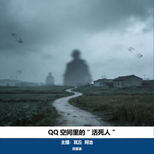 03. QQ空间里的“活死人”｜安徽凤阳汪美娟失踪案