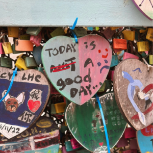 039. | 愿让健康的羁绊,成为我们自由的土壤