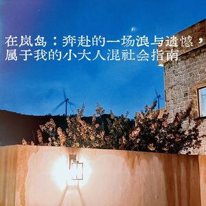 在岚岛：奔赴的一场浪与遗憾，属于我的小大人混社会指南