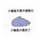 MO_DO