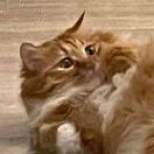 暄_XHny的个人播客