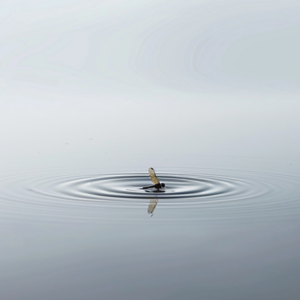 Vol4. 天赋堵点跟练与自查