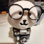 爱拍照的补水熊