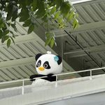 网友小小陈_