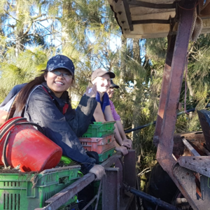 18. 新西兰打工度假gap指南