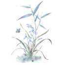 第五个季节_xagS