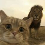 咪猫咪猫咪猫咪