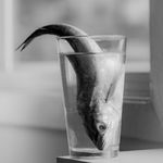 天王老子来了如何