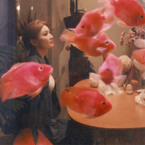 以为是美德，其实是种病？聊聊“过度负责”这件事