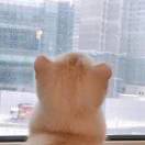 11_MkqU