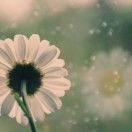 正德皇帝朱厚照：龙椅与豹房的荒诞史