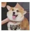 鱼无念