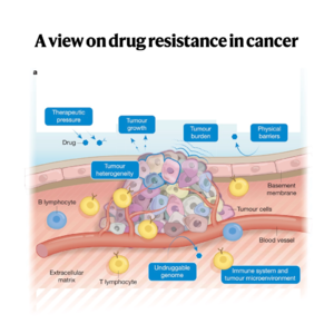 113-A view on drug resistance in cancer