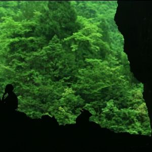 番外｜对话叶导：当灵性觉醒与自然链接，凡是发生必有利于我