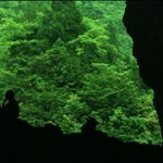 番外｜对话叶导：当灵性觉醒与自然链接，凡是发生必有利于我