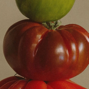 32.Playlist|1+1>2,那些双人神仙合作曲