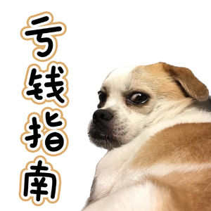 E41，张机：当昂扬叙事，遇见亏钱指南