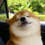 完全黄金回轉年糕