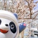 喔喔月亮湾