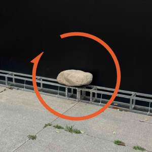 Vol.116 学文科你这辈子就完蛋了,但下辈子还想学