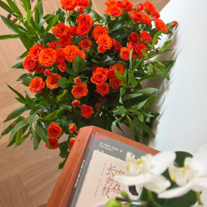 vol.53 那些无意中撬动过我们齿轮的外人