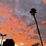 狡黠的ketty呵呵呵呵