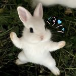 kaiiiyue