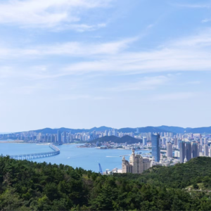 旅行的无意义031｜生病和人多，让我对一个城市望而却步，而大连的动物治愈了我