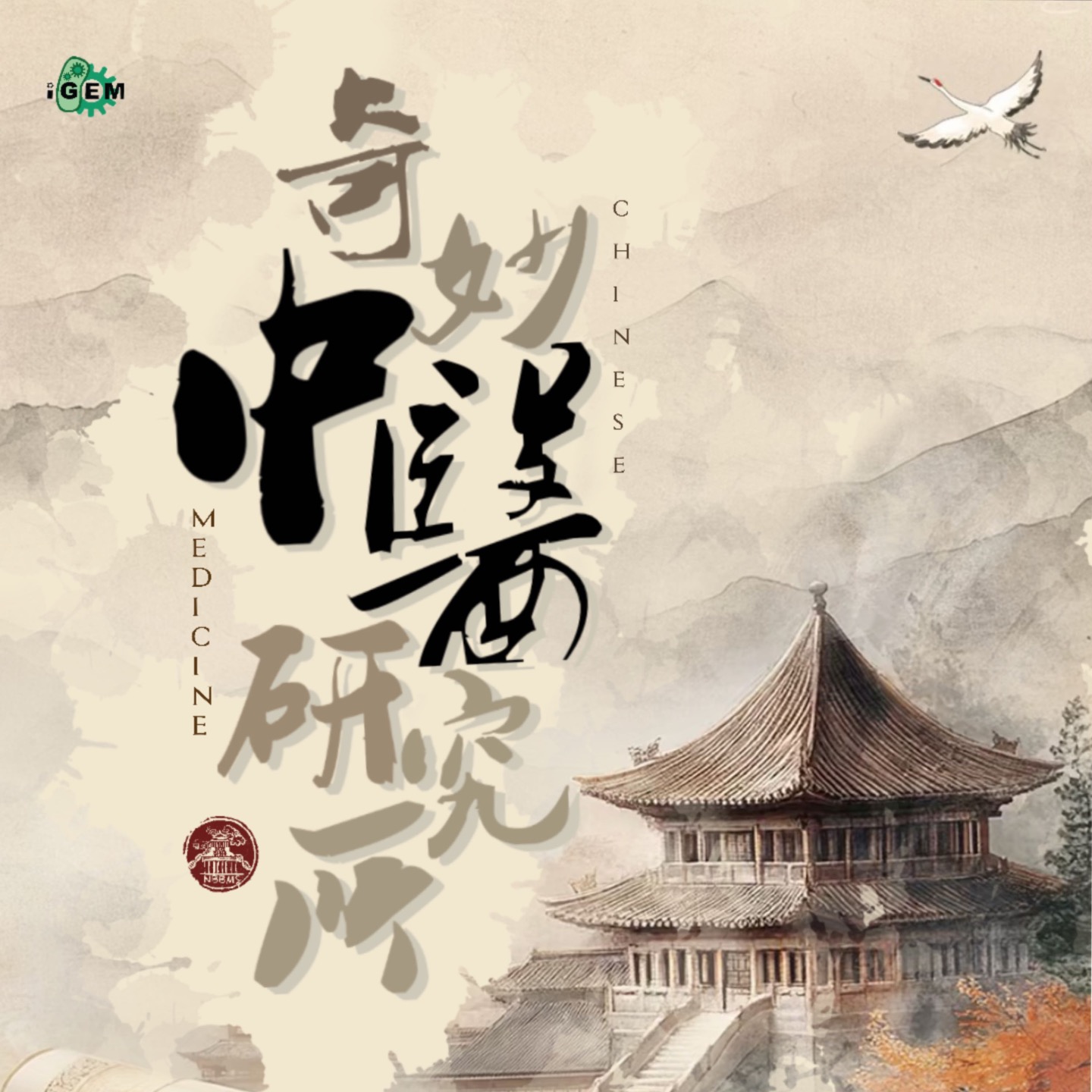 奇妙中医研究所