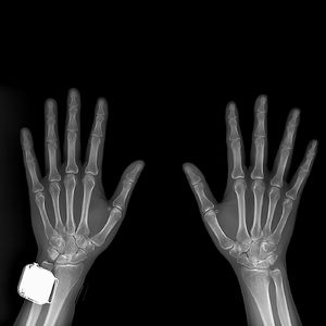 对谈纪录片导演刘晓婧：独自上场，一个纪录片导演的退守与进取。