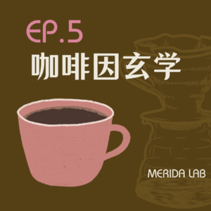 EP5.咖啡因玄学：为什么有的人喝完能通宵，有的人喝完直接睡着？